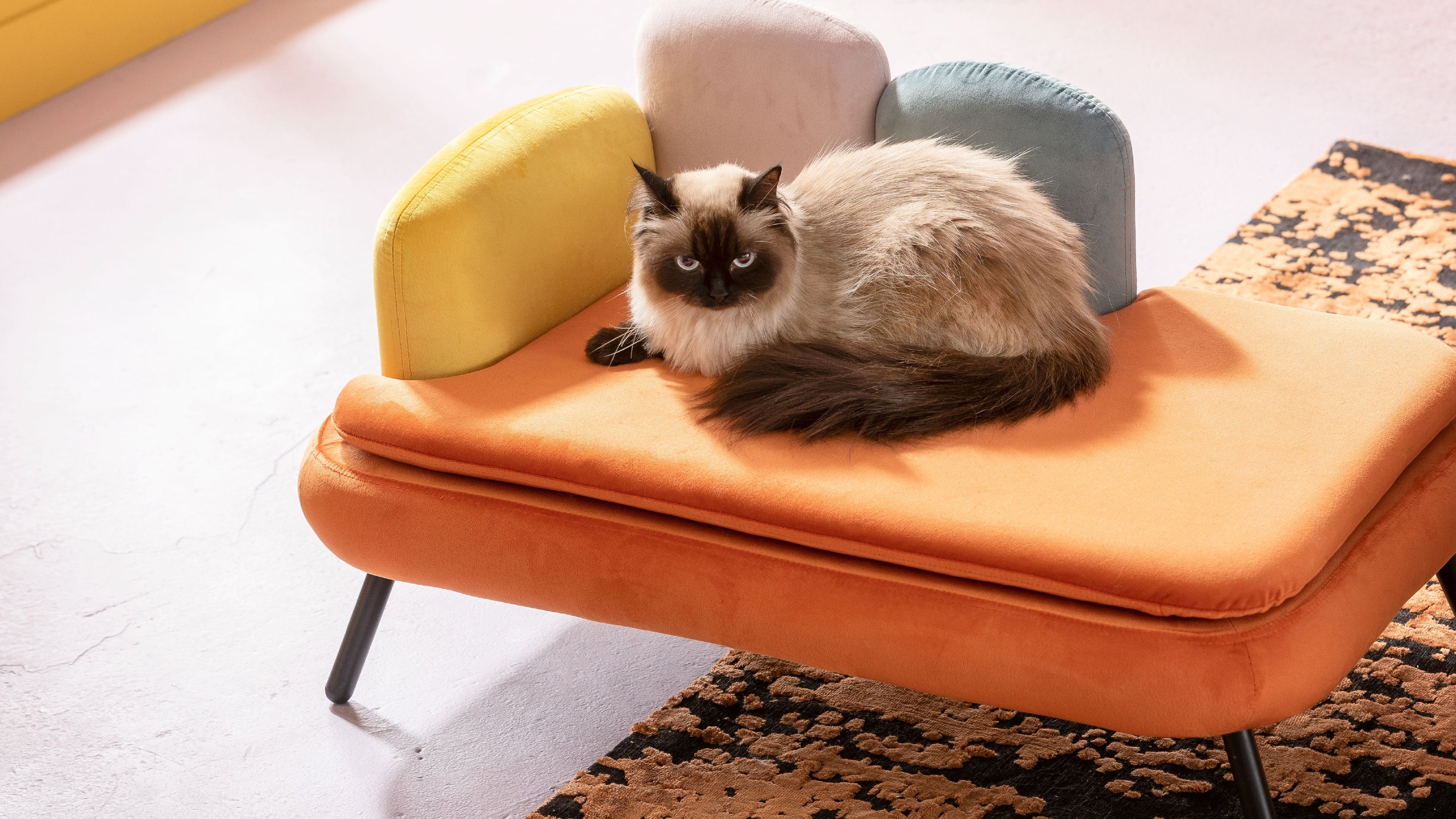 Why Are More Homeowners Looking Beyond Safe Design Choices to Create More Personal Interiors?