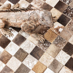 Carpet Cosmo Grey-Brown Fur 170x240cm