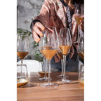 Red Wine Glass Gobi (6/Set)