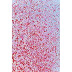 Picture Touched Flower Boat Blue Pink