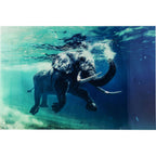 Picture Glass Swimming Elephant 180x120cm