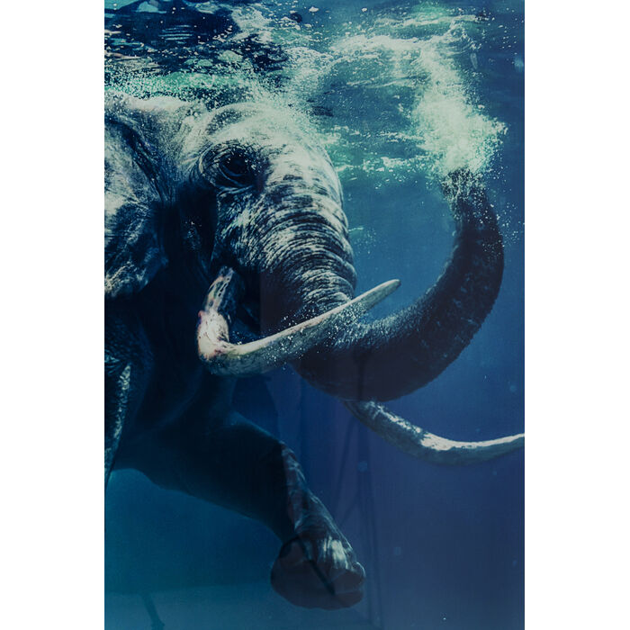 Picture Glass Swimming Elephant 180x120cm