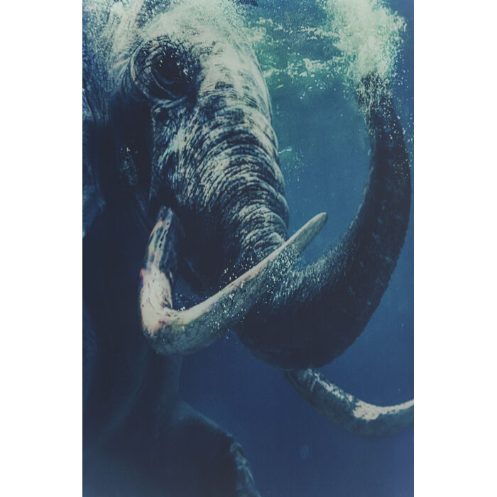 Picture Glass Swimming Elephant 180x120cm