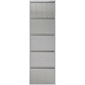 Shoe Container Caruso 5 Silver brushed (MO)