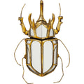 Wall Decoration Beetle Mirror 25x39cm