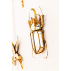 Wall Decoration Beetle Mirror 25x39cm