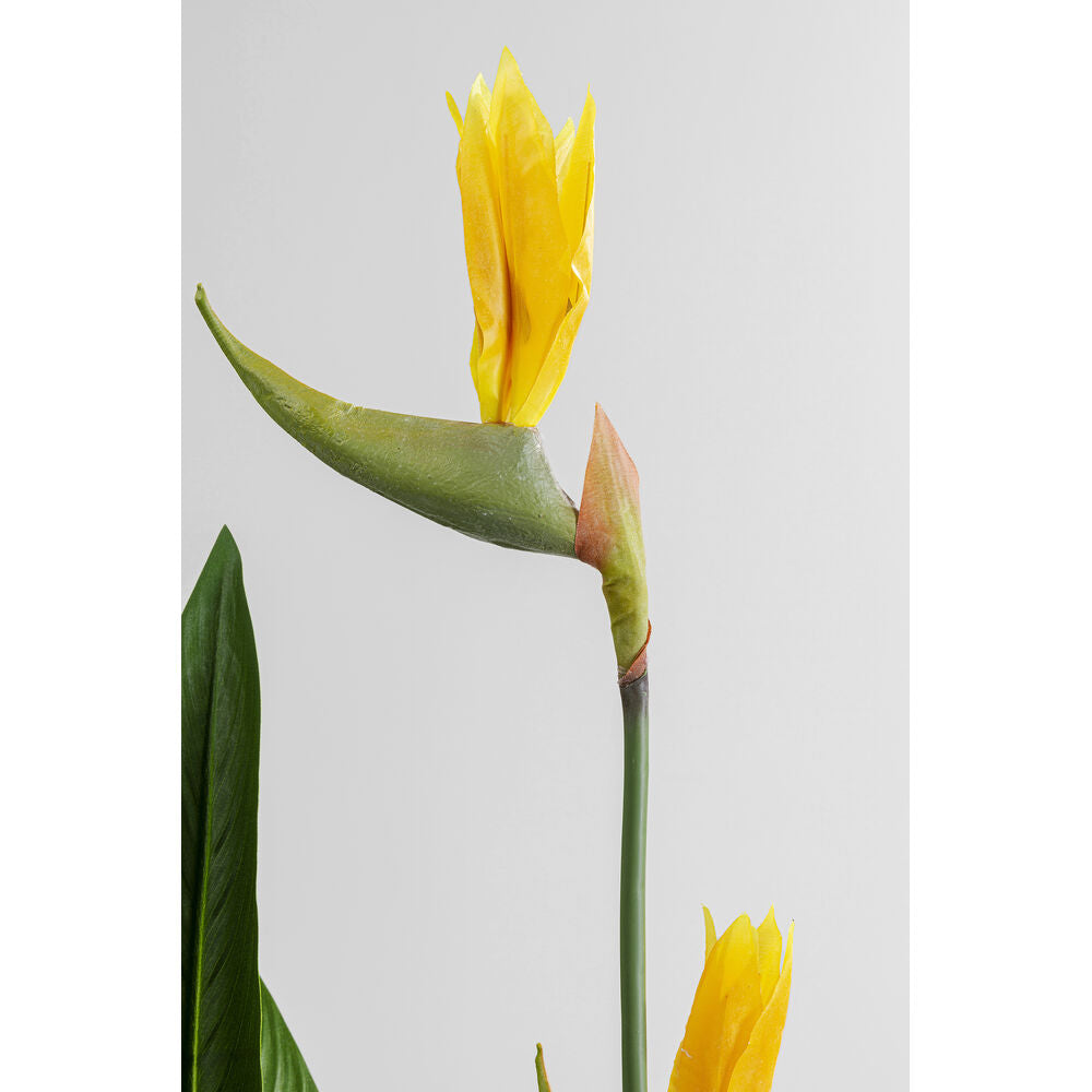 Deco Plant Paradise Flowers 190cm