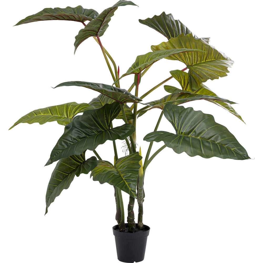Deco Plant Taro 180