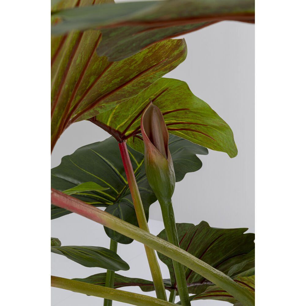 Deco Plant Taro 180