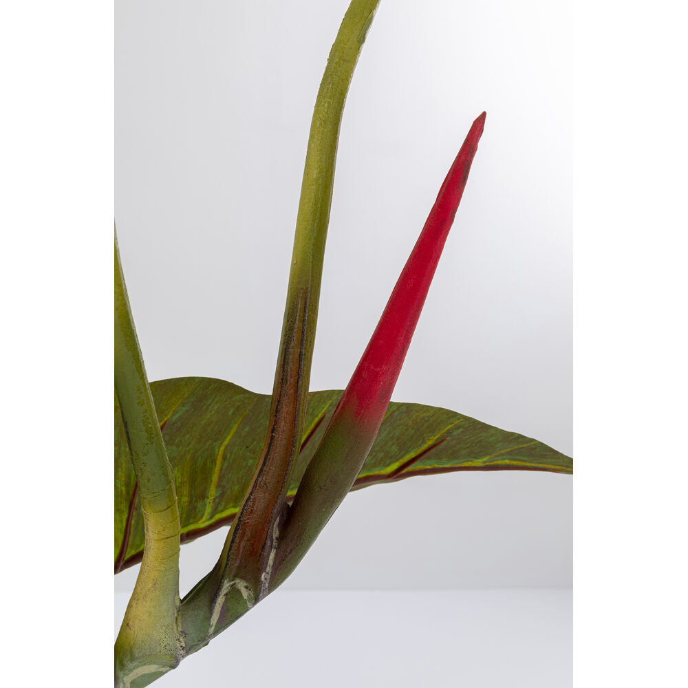 Deco Plant Taro 180