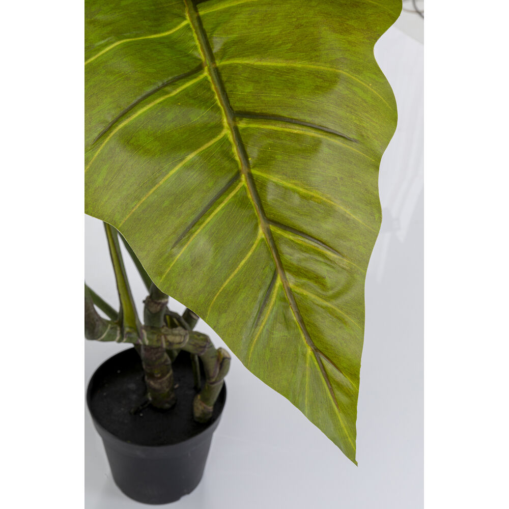 Deco Plant Taro 180