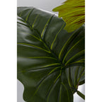 Deco Plant Taro 180