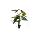 Deco Plant Taro 180