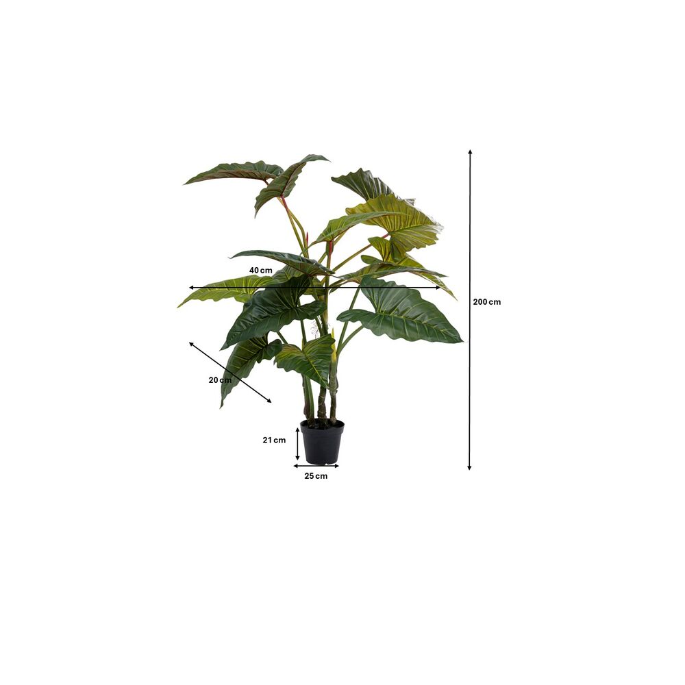 Deco Plant Taro 180