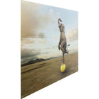 Glass Picture Balance Elephant 150x100cm