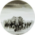 Glass Picture Elephant Walk Ø120cm