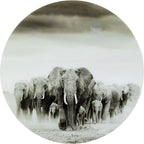 Glass Picture Elephant Walk Ø120cm
