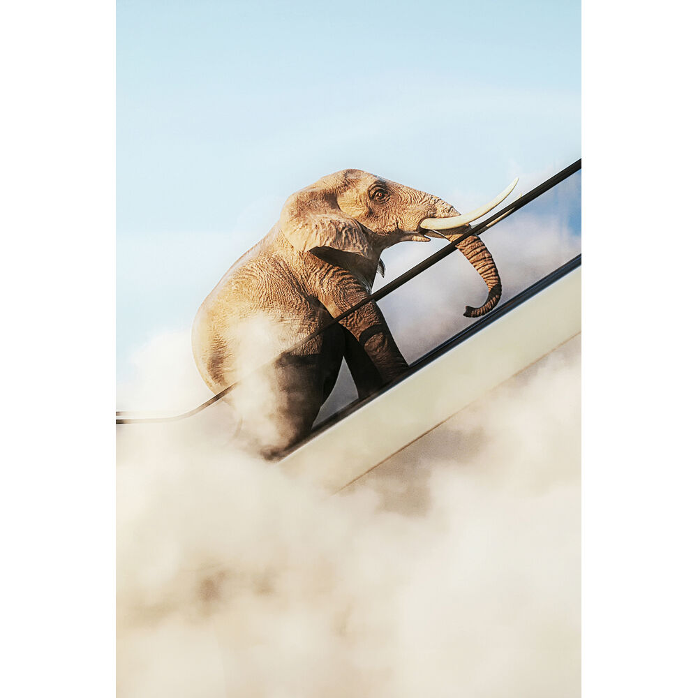 Framed Picture Elephant In The Sky 150x100cm