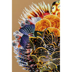 Framed Picture Flower Hair 120x120cm