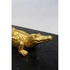 Box crocodile Black (2/Set)