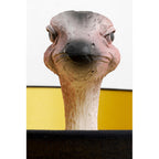 Floor Lamp Animal Ostrich 147cm