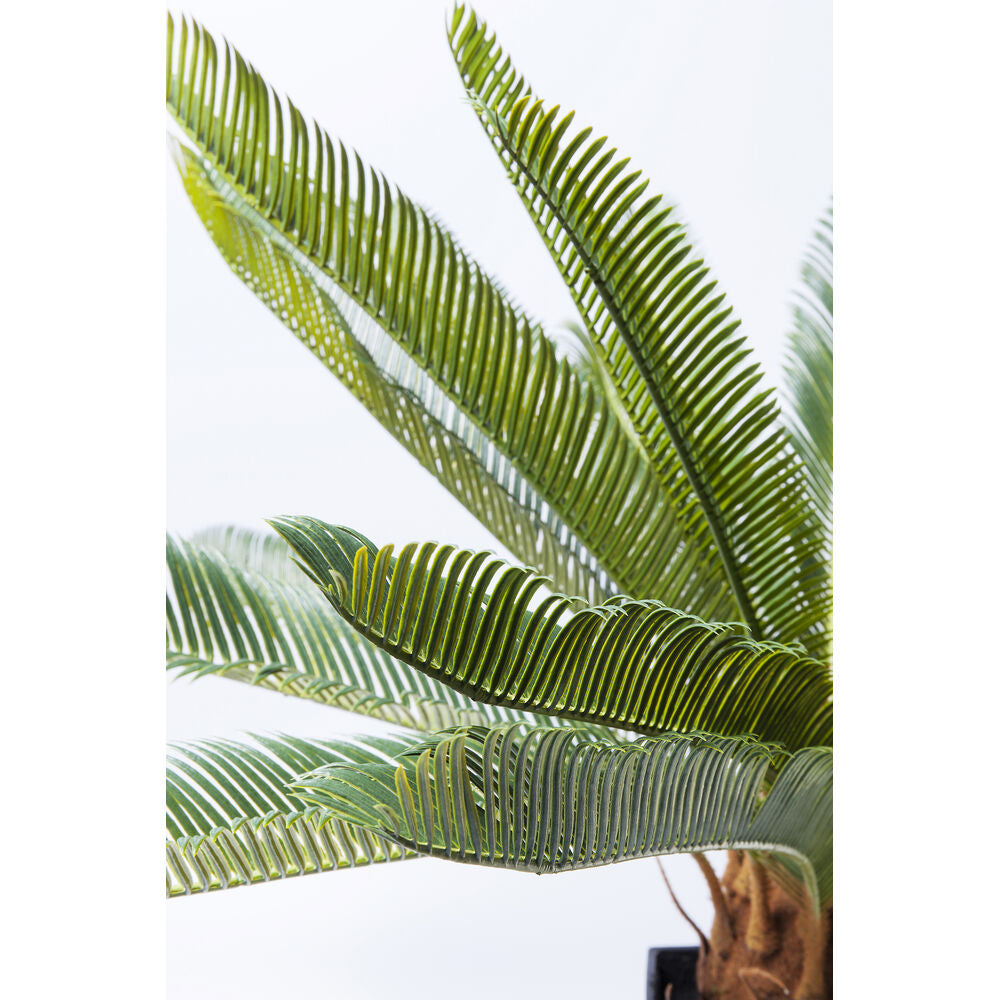 Deco Plant Cycas Tree 78cm