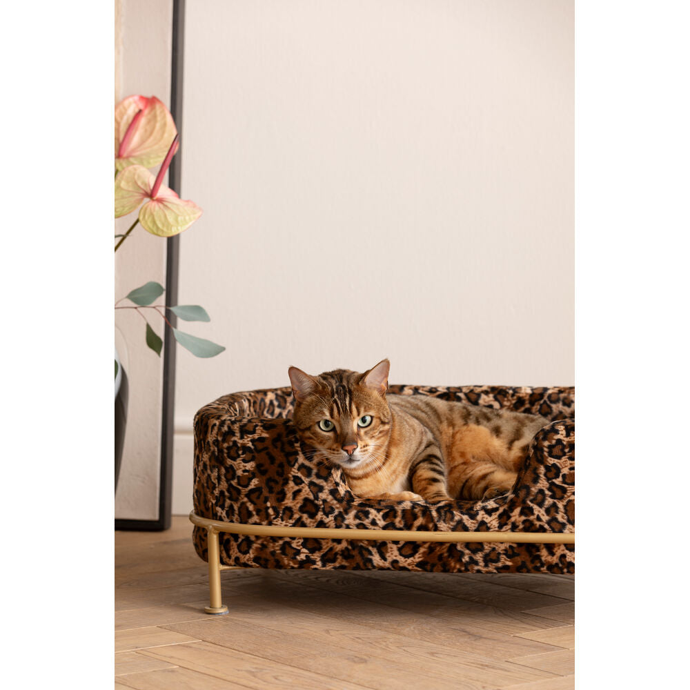 Dog Bed Diva Leo
