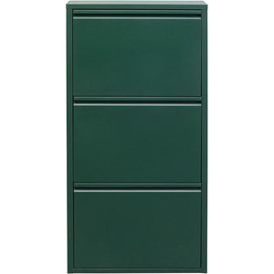 Shoe Container Caruso 3 Green (MO)