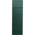 Shoe Container Caruso 5 Green (MO)