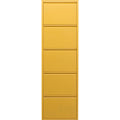 Shoe Container Caruso 5 Yellow (MO)