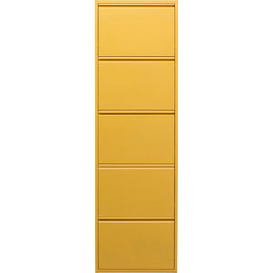 Shoe Container Caruso 5 Yellow (MO)