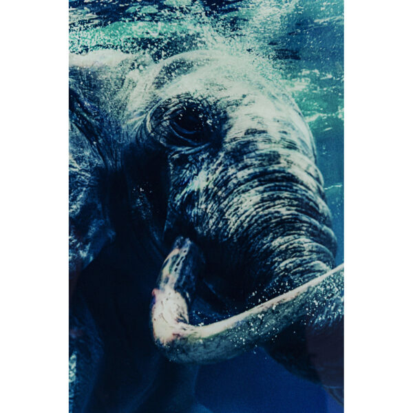 Picture Glass Swimming Elephant 180x120cm - Image 3