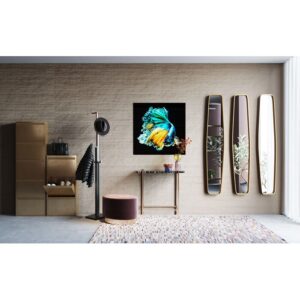 Shoe Container Caruso 5 Bronze